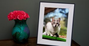 Valentine's Day: 20 Dicas de Presentes em Promoção - Tecnologia